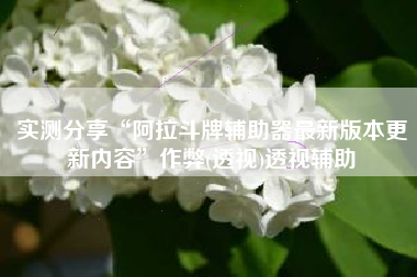 实测分享“阿拉斗牌辅助器最新版本更新内容”作弊(透视)透视辅助 实测分享“阿拉斗牌辅助器最新版本更新内容”作弊(透视)透视辅助