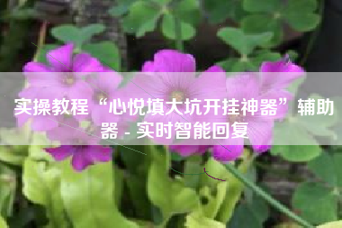 实操教程“心悦填大坑开挂神器”辅助器 - 实时智能回复 实操教程“心悦填大坑开挂神器”辅助器 - 实时智能回复