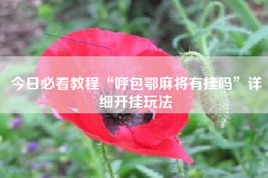 今日必看教程“呼包鄂麻将有挂吗”详细开挂玩法