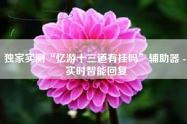 独家实测“忆游十三道有挂吗”辅助器 - 实时智能回复