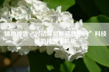 辅助神器“兴动麻将能调胜率吗”科技辅助神器手机版 辅助神器“兴动麻将能调胜率吗”科技辅助神器手机版