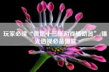 玩家必读“微信十三张游戏辅助器”(曝光透视必备猫腻