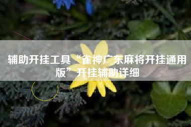 辅助开挂工具“雀神广东麻将开挂通用版”开挂辅助详细