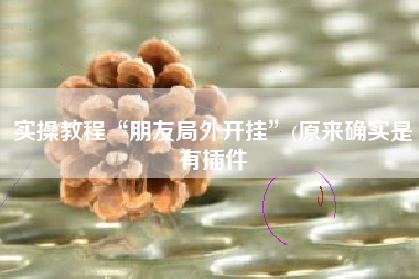 实操教程“朋友局外开挂”(原来确实是有插件