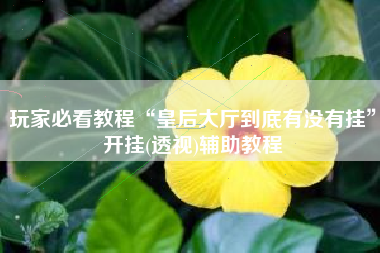玩家必看教程“皇后大厅到底有没有挂”开挂(透视)辅助教程