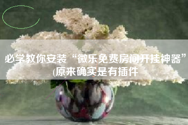 必学教你安装“微乐免费房间开挂神器”(原来确实是有插件