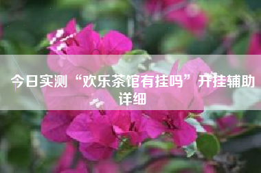 今日实测“欢乐茶馆有挂吗”开挂辅助详细