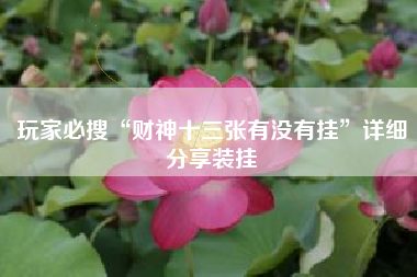 玩家必搜“财神十三张有没有挂”详细分享装挂