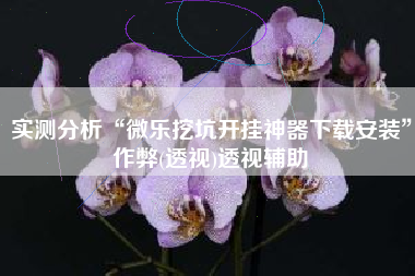 实测分析“微乐挖坑开挂神器下载安装”作弊(透视)透视辅助