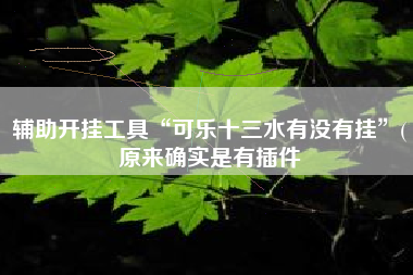 辅助开挂工具“可乐十三水有没有挂”(原来确实是有插件