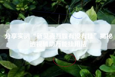 分享实测“新贝壳互娱有没有挂”揭秘透视辅助万能挂用法