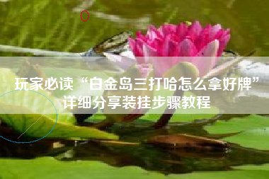 玩家必读“白金岛三打哈怎么拿好牌”详细分享装挂步骤教程 玩家必读“白金岛三打哈怎么拿好牌”详细分享装挂步骤教程