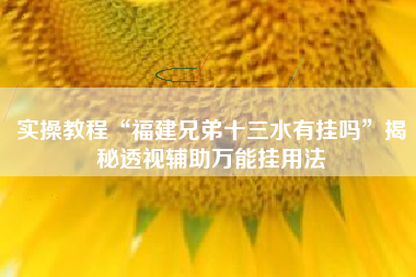 实操教程“福建兄弟十三水有挂吗”揭秘透视辅助万能挂用法