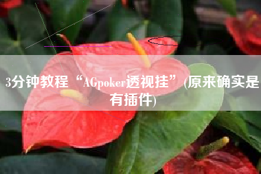 3分钟教程“AGpoker透视挂”(原来确实是有插件) 3分钟教程“AGpoker透视挂”(原来确实是有插件)