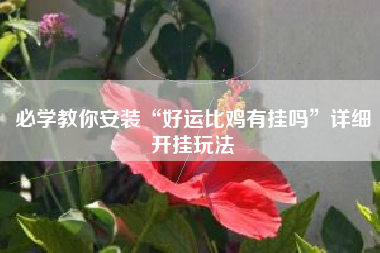 必学教你安装“好运比鸡有挂吗”详细开挂玩法 必学教你安装“好运比鸡有挂吗”详细开挂玩法