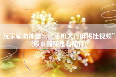 玩家辅助神器：“手机太行麻将挂视频”(原来确实是有插件)