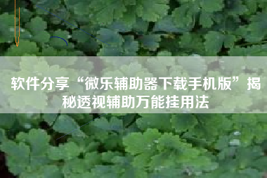 软件分享“微乐辅助器下载手机版”揭秘透视辅助万能挂用法 软件分享“微乐辅助器下载手机版”揭秘透视辅助万能挂用法