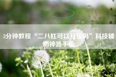 3分钟教程“二八杠可以开挂吗”科技辅助神器手机 3分钟教程“二八杠可以开挂吗”科技辅助神器手机