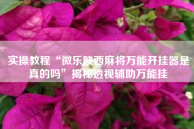 实操教程“微乐陕西麻将万能开挂器是真的吗”揭秘透视辅助万能挂