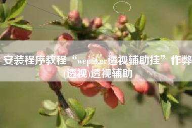 安装程序教程“wepoker透视辅助挂”作弊(透视)透视辅助 安装程序教程“wepoker透视辅助挂”作弊(透视)透视辅助