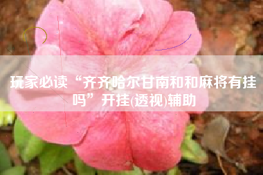 玩家必读“齐齐哈尔甘南和和麻将有挂吗”开挂(透视)辅助