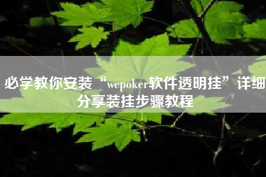 必学教你安装“wepoker软件透明挂”详细分享装挂步骤教程 必学教你安装“wepoker软件透明挂”详细分享装挂步骤教程