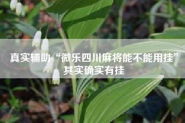 真实辅助“微乐四川麻将能不能用挂”其实确实有挂 真实辅助“微乐四川麻将能不能用挂”其实确实有挂