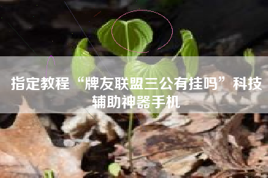 指定教程“牌友联盟三公有挂吗”科技辅助神器手机 指定教程“牌友联盟三公有挂吗”科技辅助神器手机