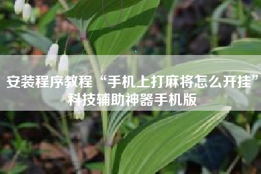 安装程序教程“手机上打麻将怎么开挂”科技辅助神器手机版