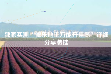 独家实测“微乐地主万能开挂器”详细分享装挂 独家实测“微乐地主万能开挂器”详细分享装挂