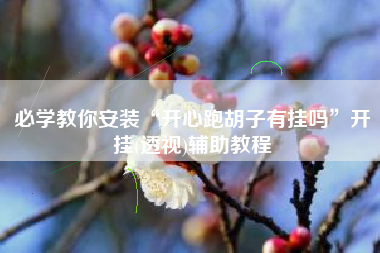 必学教你安装“开心跑胡子有挂吗”开挂(透视)辅助教程