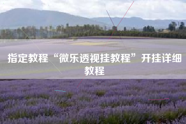 指定教程“微乐透视挂教程”开挂详细教程