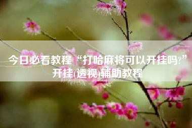 今日必看教程“打哈麻将可以开挂吗?”开挂(透视)辅助教程