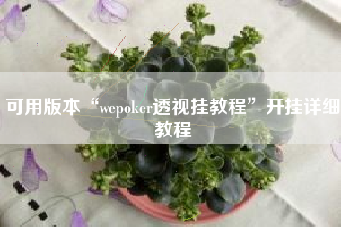可用版本“wepoker透视挂教程”开挂详细教程 可用版本“wepoker透视挂教程”开挂详细教程