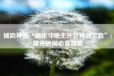 辅助神器“微乐斗地主外卦神器下载”(曝光透视必备猫腻 辅助神器“微乐斗地主外卦神器下载”(曝光透视必备猫腻