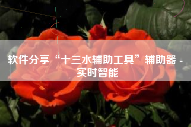 软件分享“十三水辅助工具”辅助器 - 实时智能