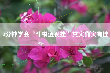 3分钟学会“斗棋透视挂”其实确实有挂