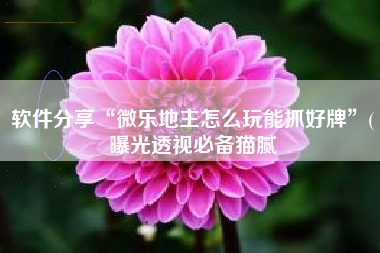 软件分享“微乐地主怎么玩能抓好牌”(曝光透视必备猫腻