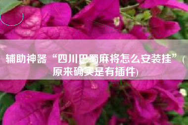 辅助神器“四川巴蜀麻将怎么安装挂”(原来确实是有插件)