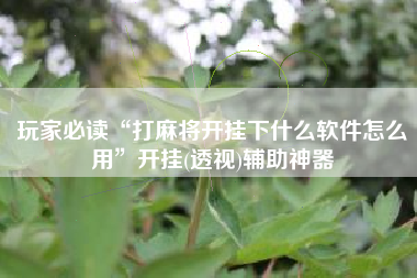 玩家必读“打麻将开挂下什么软件怎么用”开挂(透视)辅助神器