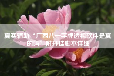 真实辅助“广西八一字牌透视软件是真的吗”附开挂脚本详细