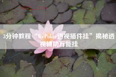 3分钟教程“WePoker透视插件挂”揭秘透视辅助万能挂 3分钟教程“WePoker透视插件挂”揭秘透视辅助万能挂