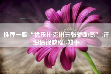 推荐一款“优乐扑克拼三张辅助器”(详细透视教程)-知乎 推荐一款“优乐扑克拼三张辅助器”(详细透视教程)-知乎