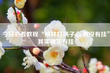 今日必看教程“榆林打锅子app有没有挂”其实确实有挂 今日必看教程“榆林打锅子app有没有挂”其实确实有挂