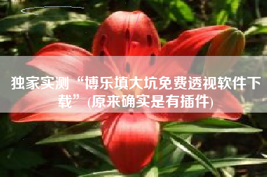 独家实测“博乐填大坑免费透视软件下载”(原来确实是有插件)