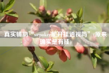 真实辅助“wepoker能开挂透视吗”(原来确实是有挂) 真实辅助“wepoker能开挂透视吗”(原来确实是有挂)