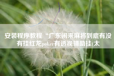 安装程序教程“广东闲来麻将到底有没有挂红龙poker有透视辅助挂(太