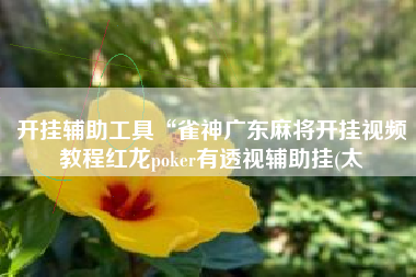 开挂辅助工具“雀神广东麻将开挂视频教程红龙poker有透视辅助挂(太 开挂辅助工具“雀神广东麻将开挂视频教程红龙poker有透视辅助挂(太