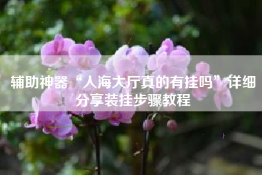 辅助神器“人海大厅真的有挂吗”详细分享装挂步骤教程 辅助神器“人海大厅真的有挂吗”详细分享装挂步骤教程