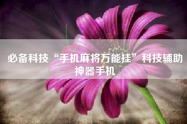 必备科技“手机麻将万能挂”科技辅助神器手机